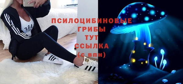 молекула духа Коряжма