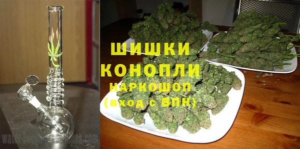 2c-b Козельск