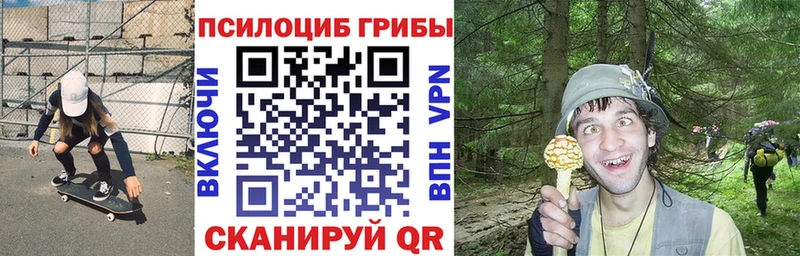 Галлюциногенные грибы Psilocybe  где купить наркоту  Курчатов 