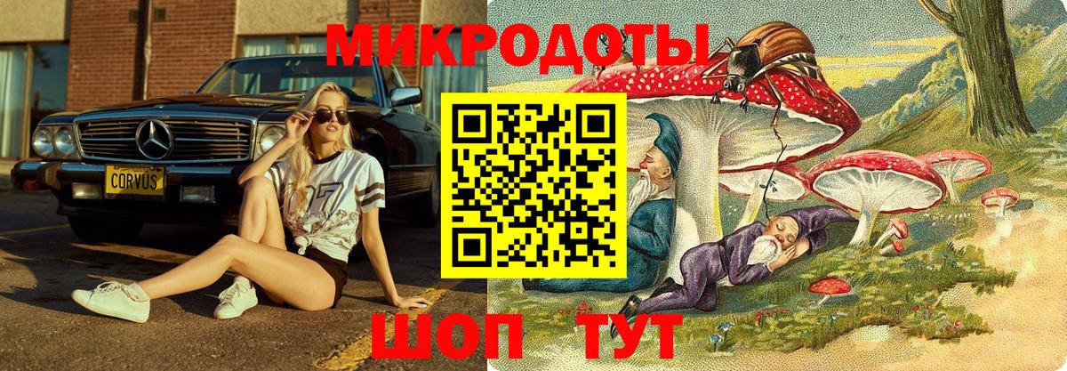 Галлюциногенные грибы ЛСД Курчатов