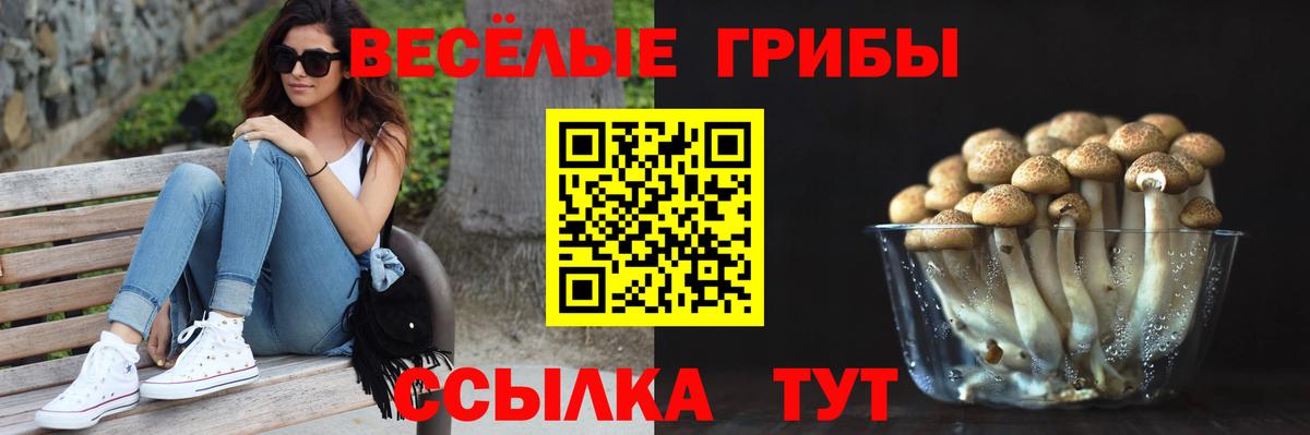 Курчатов  Галлюциногенные грибы мицелий  Вход с VPN  Галлюциногенные грибы MAGIC MUSHROOMS 