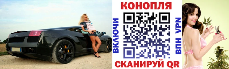 ОМГ ОМГ вход Курчатов Конопля VHQ